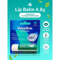 VASELINE LIP THERAPY LIP BALM MINT 4.8G